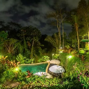 The Jungle , Ubud Indonesia